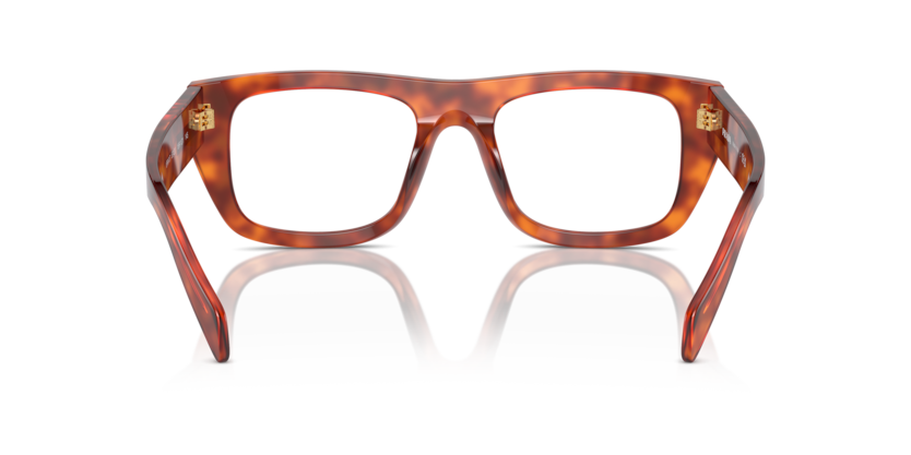 Cognac Tortoise - 0PR A17V 8056262143438