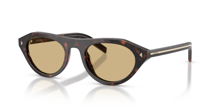 Root Tortoise - 0PR B15S 8056262504314 Prada Sunglasses Woman Irregular