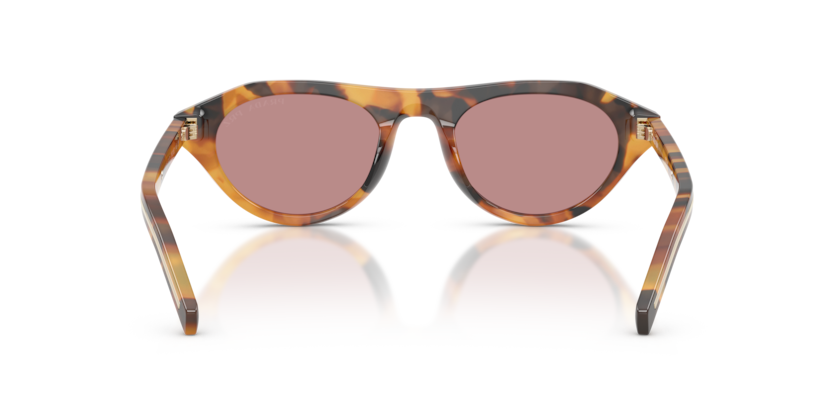 Cinnamon Tortoise - 0PR B15S 8056262504338 Prada Sunglasses Woman Irregular