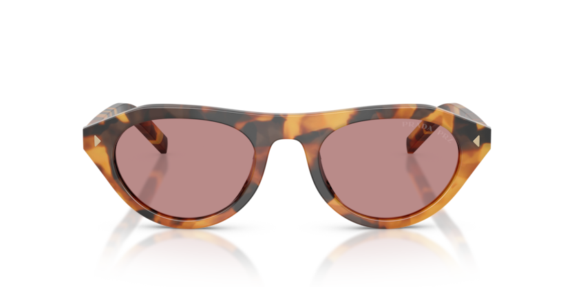 Cinnamon Tortoise - 0PR B15S 8056262504338 Prada Sunglasses Woman Irregular