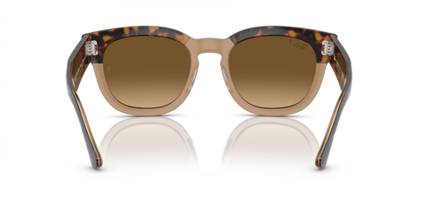 Havana On Transparent Brown - 0RB0298S 8056597936088