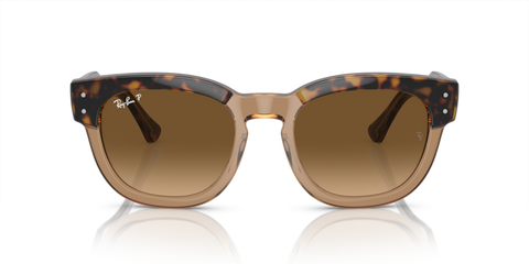 Havana On Transparent Brown - 0RB0298S 8056597936088