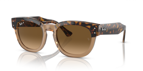 Havana On Transparent Brown - 0RB0298S 8056597936088