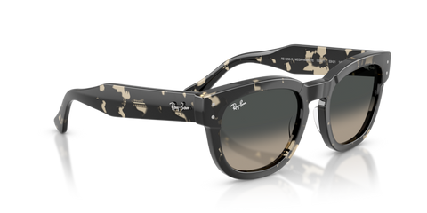 Grey Havana - 0RB0298S 8056262475119