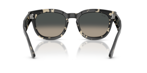 Grey Havana - 0RB0298S 8056262475119