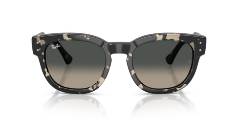 Grey Havana - 0RB0298S 8056262475119
