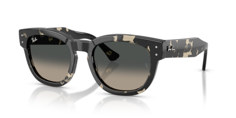 Grey Havana - 0RB0298S 8056262475119