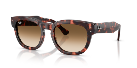 Pink Havana - 0RB0298S 8056262475126