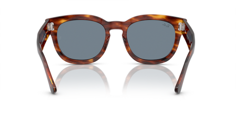 Striped Havana - 0RB0298S 8056597936132