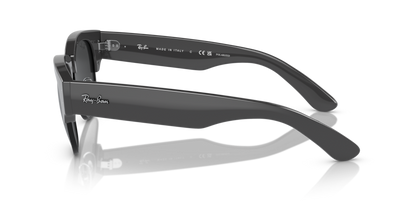 Grey On Black - 0RB0316S 8056597837118