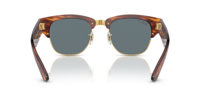 Striped Havana - 0RB0316S 8056597888813