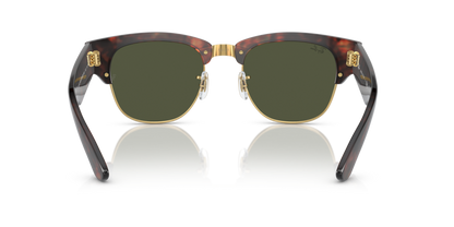 Tortoise On Gold - 0RB0316S 8056597837170
