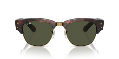 Tortoise On Gold - 0RB0316S 8056597837170