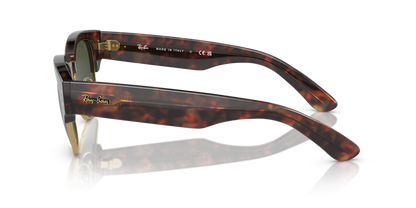 Tortoise On Gold - 0RB0316S 8056597837170