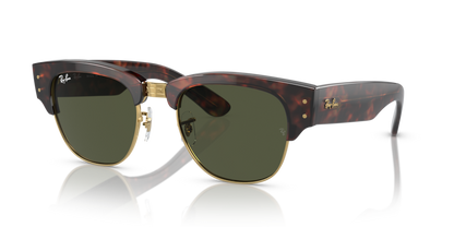 Tortoise On Gold - 0RB0316S 8056597837170