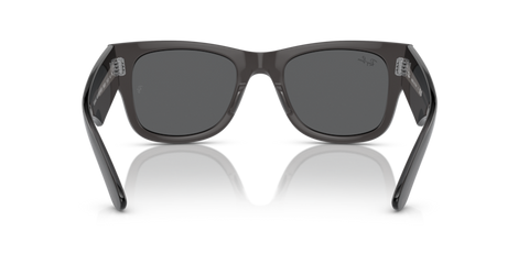 Transparent Black - 0RB0840S 8056597897167
