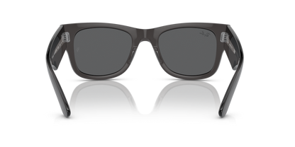 Transparent Black - 0RB0840S 8056262098363