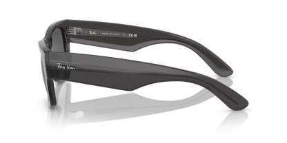 Transparent Black - 0RB0840S 8056262098363