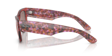 Transparent Pink - 0RB0840S 8056597720656