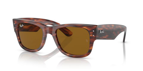 Striped Havana - 0RB0840S 8056597720694