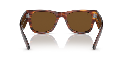 Striped Havana - 0RB0840S 8056597720700