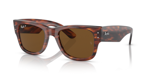 Striped Havana - 0RB0840S 8056597720700