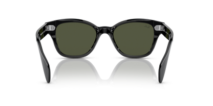 Black - 0RB0880S 8056597720601