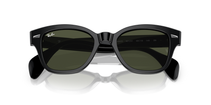 Black - 0RB0880S 8056597720601