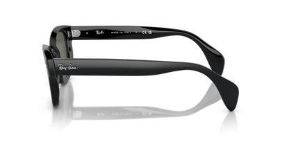 Black - 0RB0880S 8056597720601