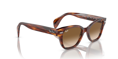 Striped Havana - 0RB0880S 8056597720618