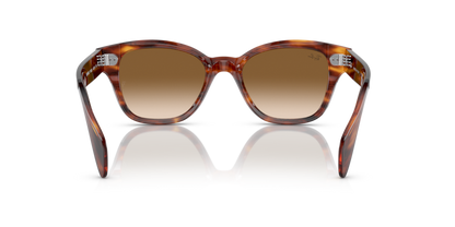 Striped Havana - 0RB0880S 8056597720618