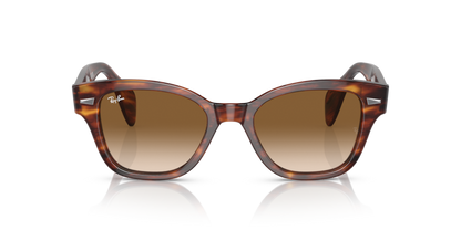 Striped Havana - 0RB0880S 8056597720618