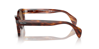 Striped Havana - 0RB0880S 8056597720618