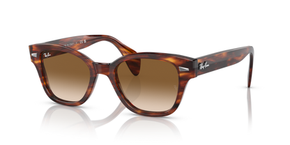 Striped Havana - 0RB0880S 8056597720618