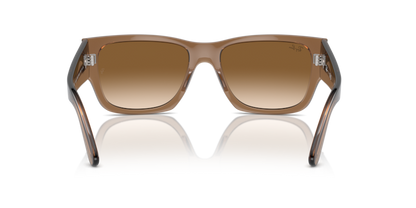 Transparent Light Brown - 0RB0947S 8056262061329