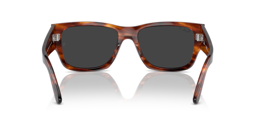 Striped Havana - 0RB0947S 8056262061343