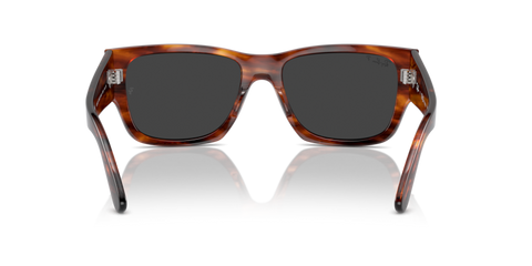 Striped Havana - 0RB0947S 8056262061343