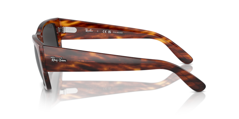 Striped Havana - 0RB0947S 8056262061343