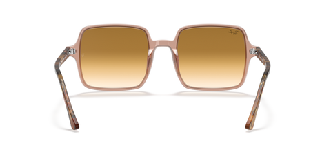Transparent Brown - 0RB1973 8056597121903