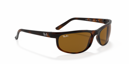 Dark Havana - 0RB2027 8056597364508