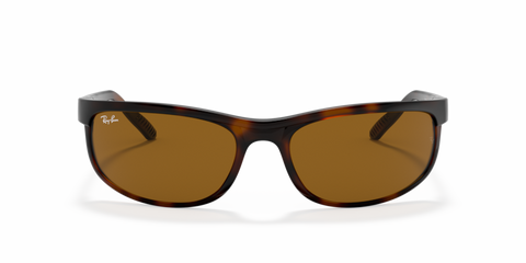 Dark Havana - 0RB2027 8056597364508