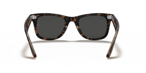 Havana On Transparent Brown - 0RB2140 8056597197694