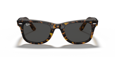 Havana On Transparent Brown - 0RB2140 8056597197694