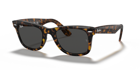 Havana On Transparent Brown - 0RB2140 8056597197694