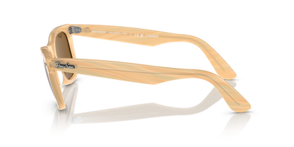 Photo Striped Brown - 0RB2140 8056262099247