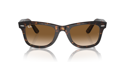 Tortoise - 0RB2140 805289183082