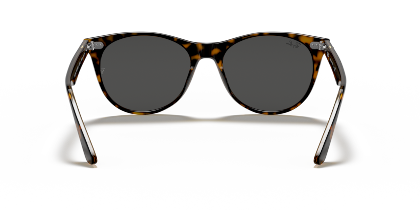 Havana On Transparent Brown - 0RB2185 8056597197847 Ray-Ban Sunglasses Unisex Phantos