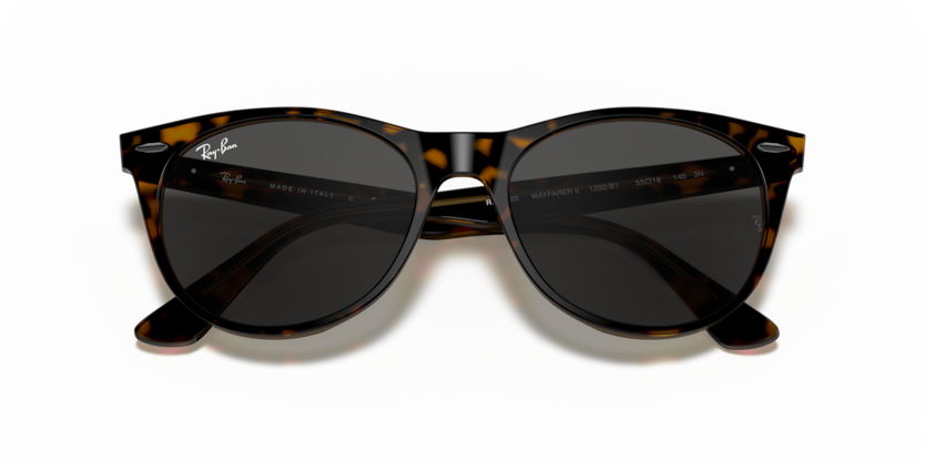 Havana On Transparent Brown - 0RB2185 8056597197847 Ray-Ban Sunglasses Unisex Phantos