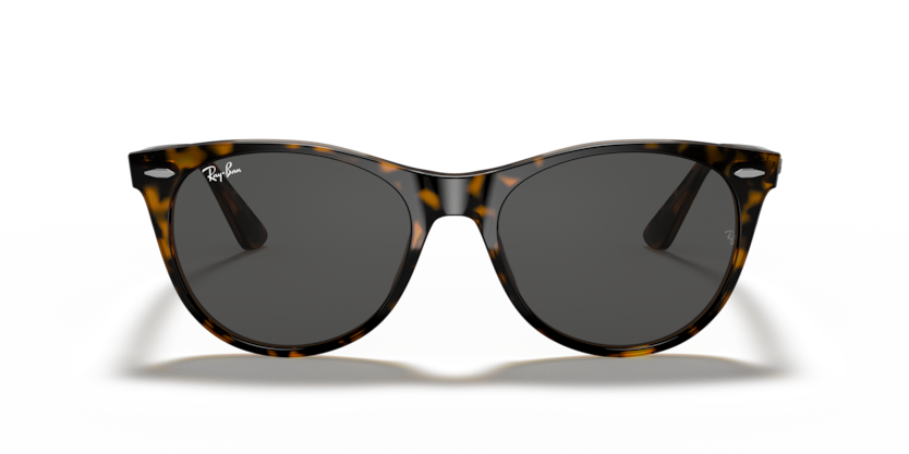 Havana On Transparent Brown - 0RB2185 8056597197847 Ray-Ban Sunglasses Unisex Phantos