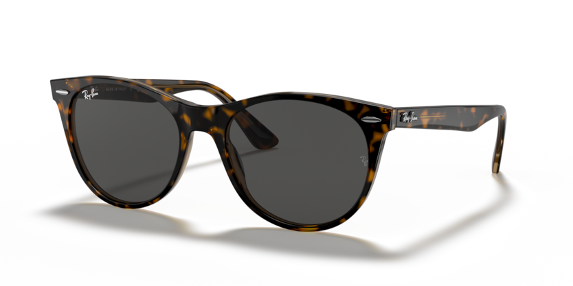 Havana On Transparent Brown - 0RB2185 8056597197847 Ray-Ban Sunglasses Unisex Phantos